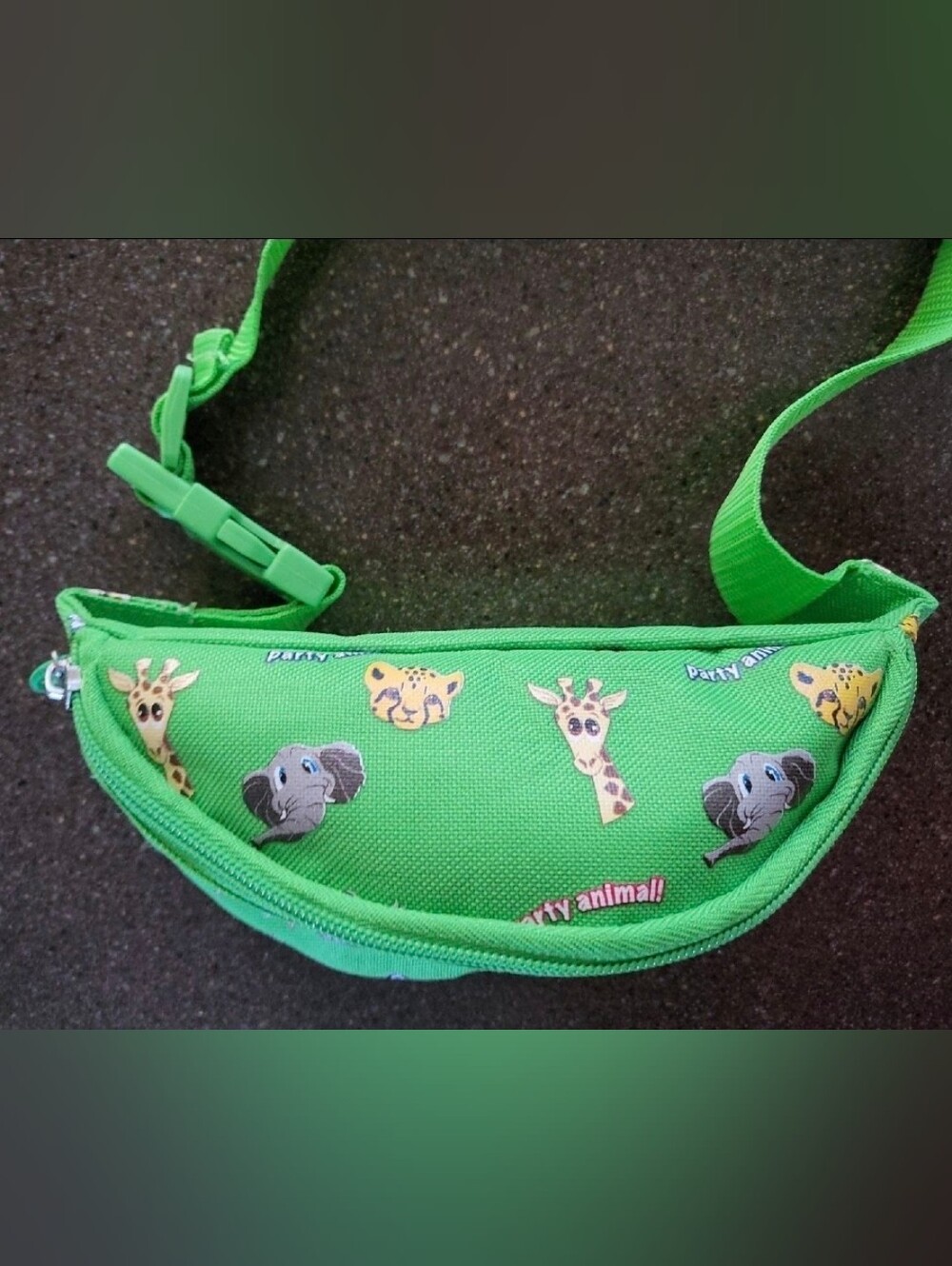 Busch Gardens Tampa Fanny Pack Waist Bag Kids Youth